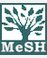 MeSH Medical subject headings