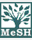 MeSH Medical subject headings